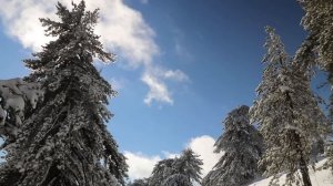 Рождество Христово (историческая реконструкция VI в.)