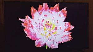 ТЕСТ ПОДСВЕТКИ ТЕЛЕВИЗОРА SAMSUNG QN900