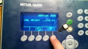 mettler toledo IND 560 калибровка
