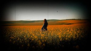 GENER8ION, 070 Shake - Neo Surf Reverb Slowed 432Hz