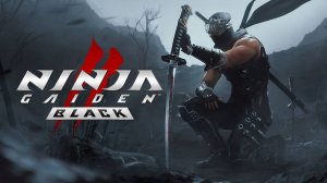 NINJA GAIDEN 2 Black - пробуем играть с черно-белым фильтром