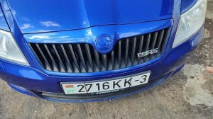 Силиконовая рамка номерного знака. Шкода Skoda Octavia. Номерная рамка резиновая рамка номера.