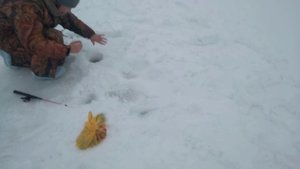 Зимняя рыбалка. Подлёдный лов.