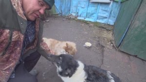 Веселый питомник на деревне.  Жизнь такая штука