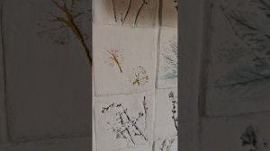 Первый опыт создания ботанического рельефа