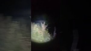 пример. как светит фонарь на воде  , светодиод хр 70 отражатель 60 мм , 6 АБ  цена 2600