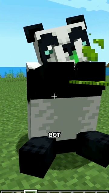 Панды ЛЮБЯТ ТОРТЫ?! ДА или НЕТ? #shorts смотреть онлайн