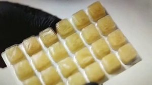 замороженые корма для рыбок