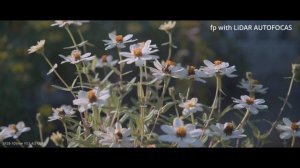 SIGMA fp with LiDAR AUTOFOCUS SYSTEM  /PDMOVIE LIVE AIR 3 SMART/ CANON EF28-105mm F3.5-4.5 USM