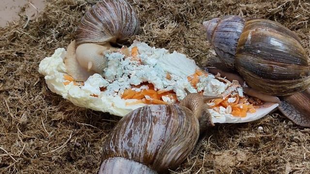 Прекрасный вечер в кругу семьи смотреть онлайн