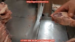 Пила для нарезки мяса, ленточная, настольная