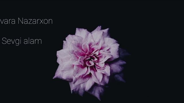 Sevara Nazarxon - Sevgi Alam (Matnli) * Sevara Nazarkhan - Love And Regret (With Lyrics)