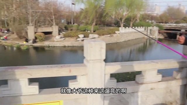野钓：用了好几年的朝天钩钓鲫鱼，今天被高手一口被否定了！