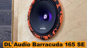 Распаковка DL Audio Barracuda 165 SE