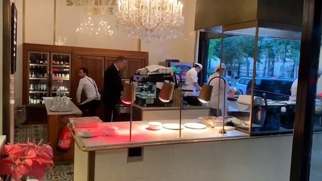 Meissl und Schadn Schnitzelrestaurant in Wien  GASTROnaut Kurti on Tour