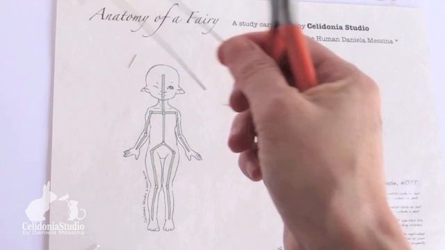 How to make a Doll Armature