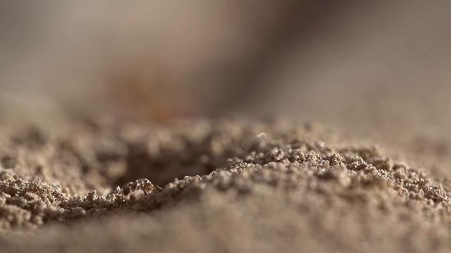 The Problem is Always The Solution - One of the most important concepts in permaculture смотреть онлайн