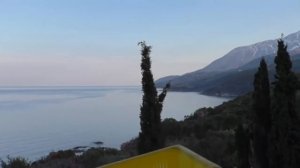 Древнее лекарство для повышения иммунитета