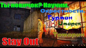 ⭐Stay Out⭐Сталкер-Онлайн👍 Ты новичок? Научим. С чего начать Окрестности Любич.