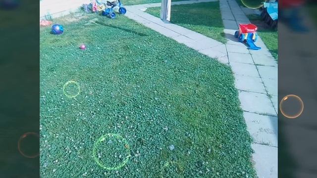 3 декабря 2018 г. смотреть онлайн