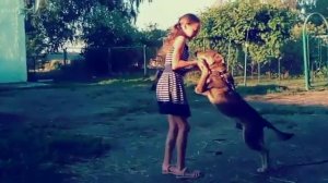 Клип Sia Cheap Thrills