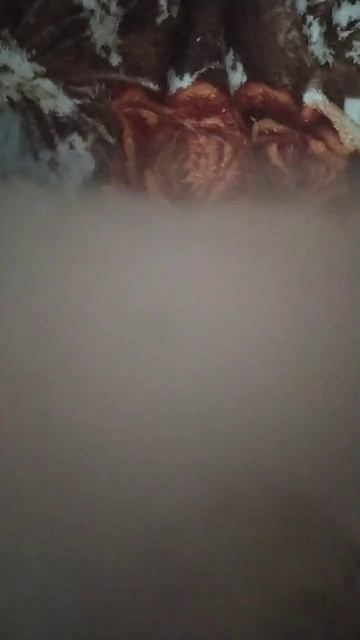 Аегис нано 🤤#пар#врек #подпишись смотреть онлайн