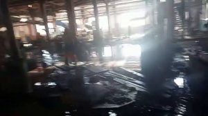 Чегдомын и тоска зелёная...