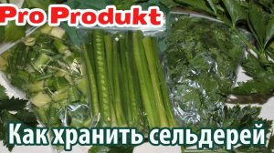 Как хранить сельдерей