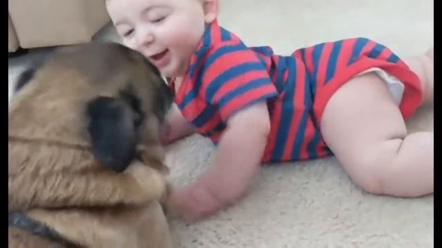 НЕЛЬЗЯ СМОТРЕТЬ Смешные зверята Приколы с котиками - Забавное видео (2019) МатроскинТВ смотреть онлайн