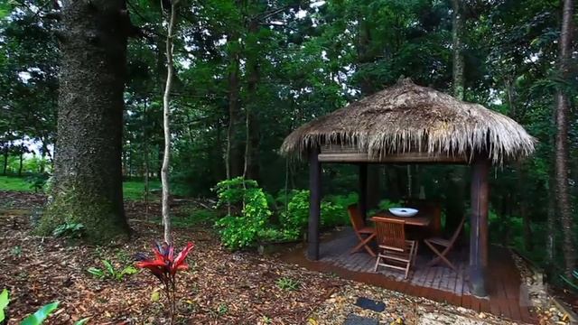 317 Skinners Shoot Road  Byron Bay by Damian Hall смотреть онлайн