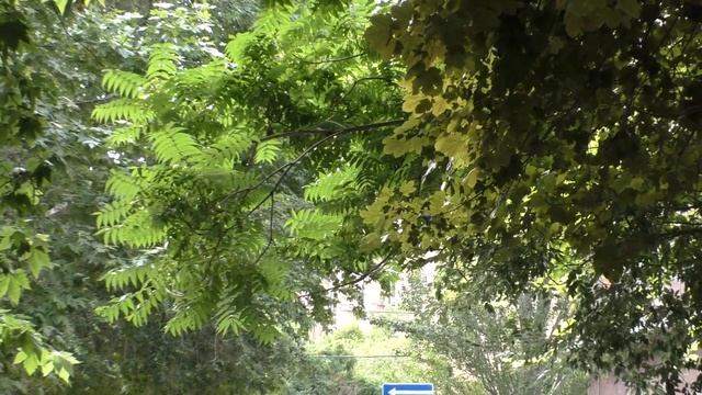 Yerevan, 11.06.18, Mo, Video-2, Arami - Hanrapetutyan. смотреть онлайн