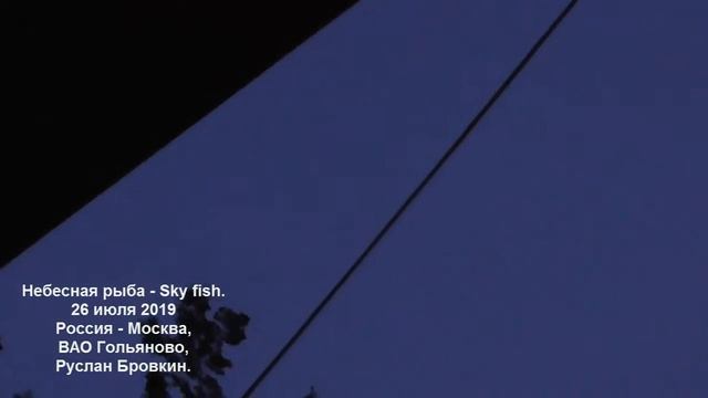 Небесная рыба - Sky fish.