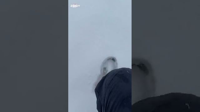 Таджикистан