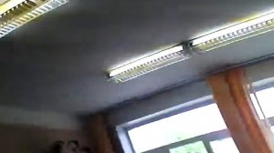 Бабуин 1 серия