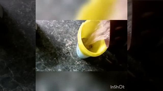 Отличная зимняя подкормка на плотву