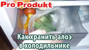 Как хранить алоэ в холодильнике
