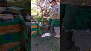 КОМПЛЕКТАЦИЯ ЛОВУШКИ ДЛЯ ЛОВЛИ РОЁВ💥