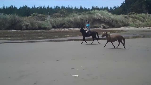 MAHOE LIGHT SPRITZER - Beach смотреть онлайн