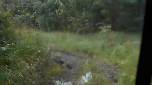 Пелец Круизер 690 из ямы на 2-й передаче