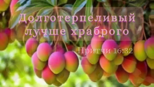 Плод Духа Святого