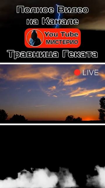 Богиня Геката Загадочные способы лечения! 5 #богиня #геката #богинягеката #луна #колдовство #ведьма