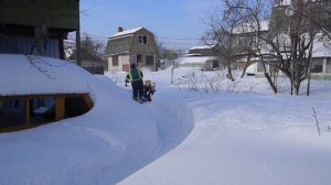 Скрестил мотоблок Нева и приставку FORZA ч2.