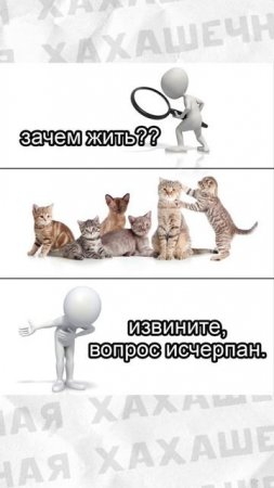 Мемы и мемы #мемы #приколы #смех