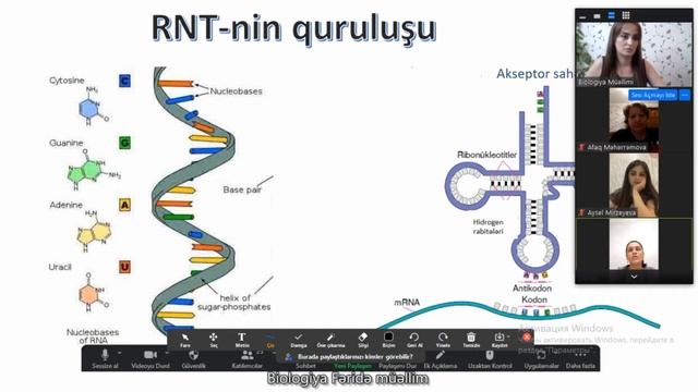 Nuklein turşuları və zülalların biosintezi mövzusunun sual cavabı смотреть онлайн