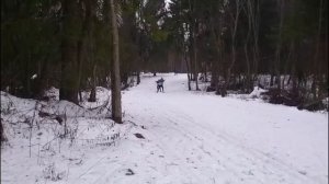 Каменка.20 км