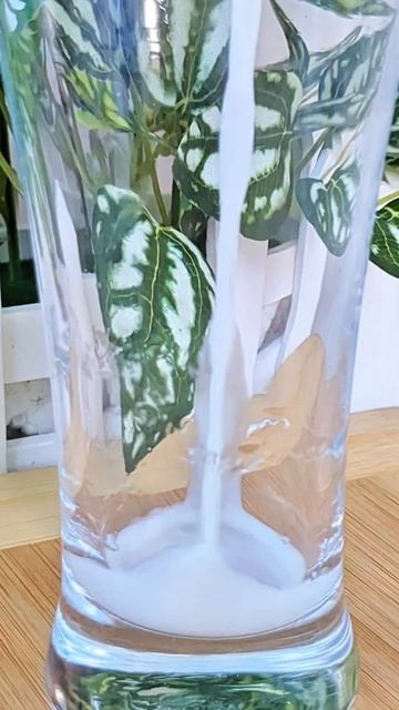 Peanut Protein Shake 🍸 #shorts #viral #trending #viralvideo #short #shortvideo #viralvideo #summer смотреть онлайн