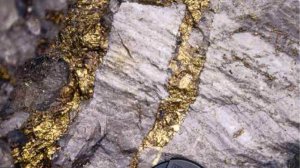 Вот как надо искать Золотую жилу!