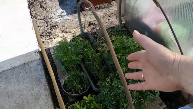ОГОРОД готов к ПОСАДКЕ.  Планирование и зонирование на УЧАСТКЕ.