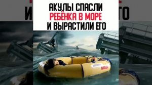 Акулы спасли ребёнка в море и вырастили его 😱