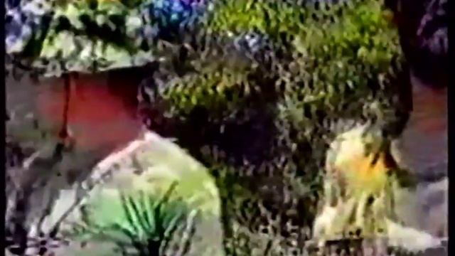 Anđeli brane Bosnu смотреть онлайн